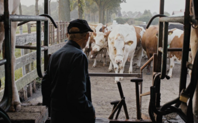 150 years of dairy farming